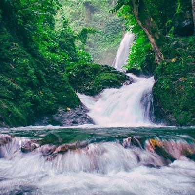 龙之战争巨龙觉醒游戏下载